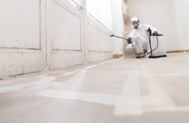 24/7 Emergency Black Mold Remediation experts in Painter, VA